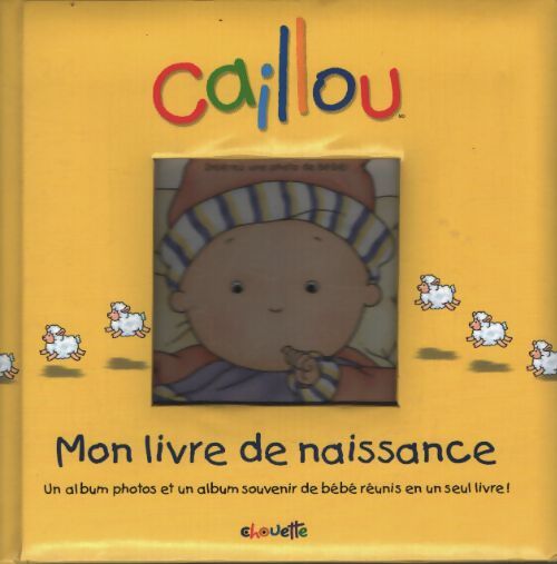 Bébé caillou mon livre de naissance - Collectif - Livre