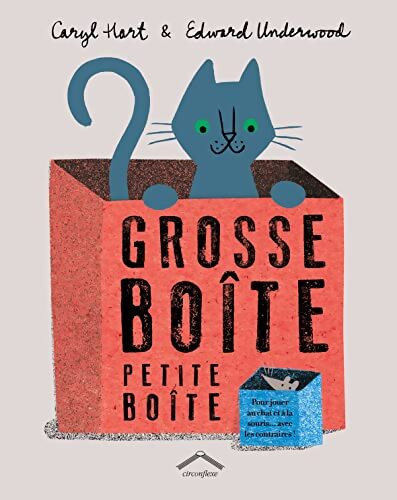 Grosse boite petite boite : Pour jouer au chat et à la souris avec les contraires ! - Caryl Hart - Livre