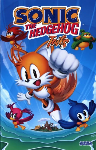 Sonic - Tails - Ian Flynn - Livre