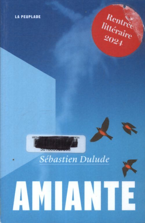 Amiante - Sébastien Dulude - Livre
