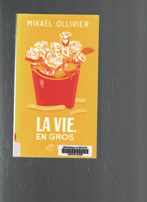 La vie en gros - Mikaël Ollivier - Livre