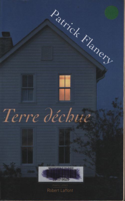 Terre déchue - Patrick Flanery - Livre