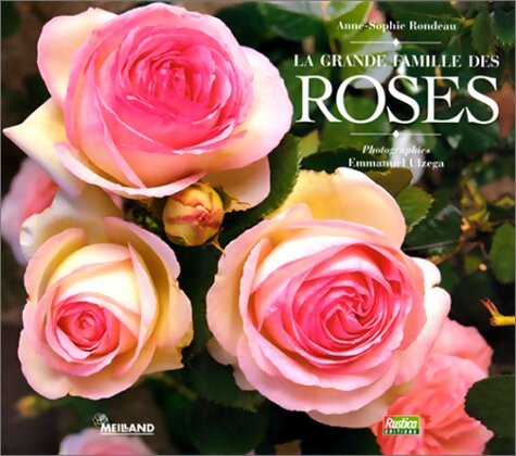 La grande famille des roses - Anne-Sophie Rondeau - Livre