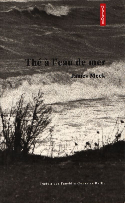 Thé à l'eau de mer - James Meek - Livre