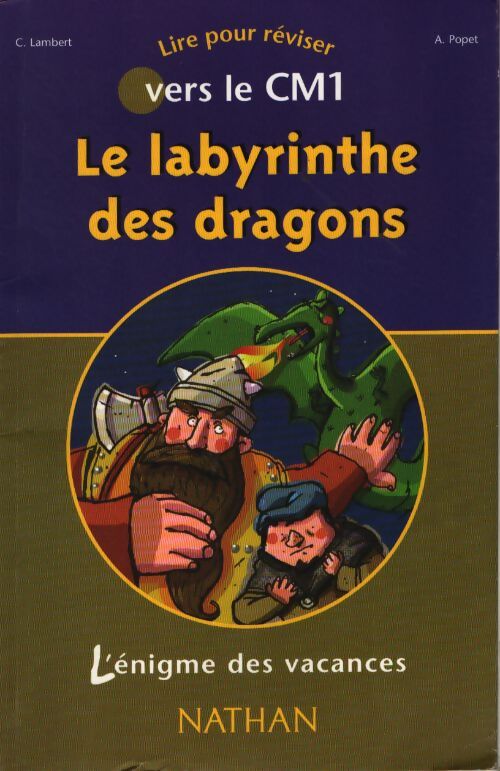Le labyrinthe des dragons : Cm1 - Anne Popet - Livre