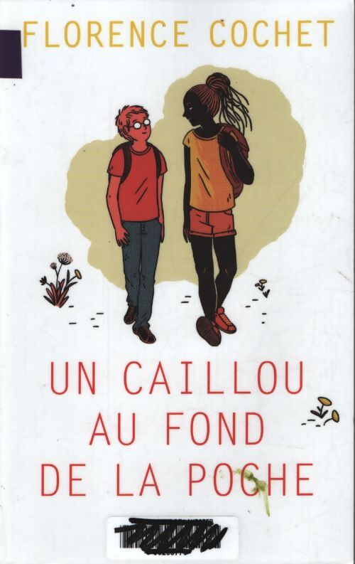 Un caillou au fond de la poche - Florence Cochet - Livre