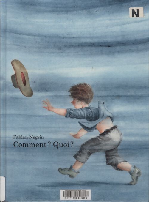 Comment ? quoi ? - Fabian Negrin - Livre