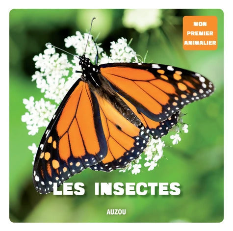 les insectes - Jérôme Carrier - Livre