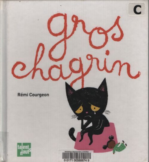 Gros chagrin - Rémi Courgeon - Livre