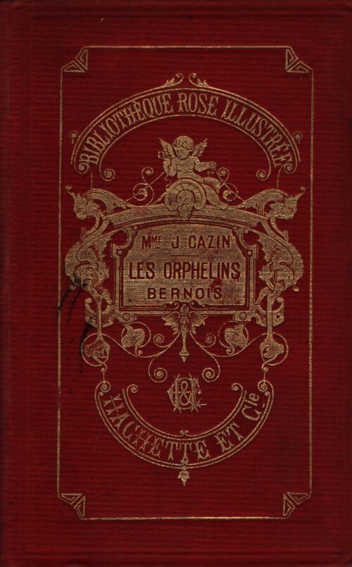 Les orphelins bernois - Jeanne Cazin - Livre