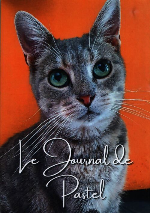 Le journal de Pastel - Inconnu - Livre