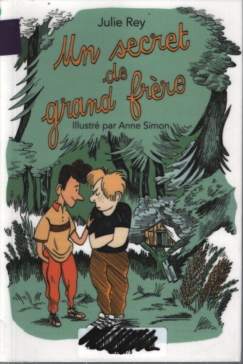 Secret de grand frère - Julie Rey - Livre