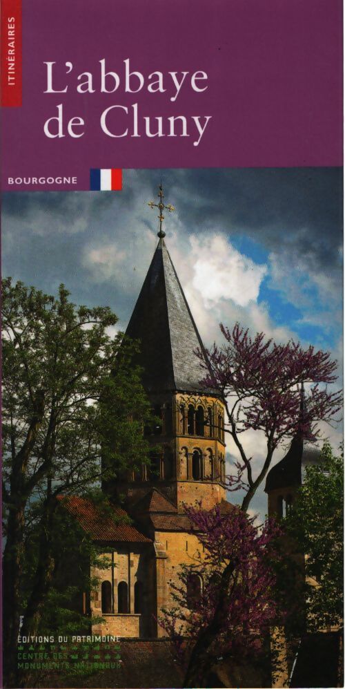 L'abbaye de cluny - Anne Baud - Livre