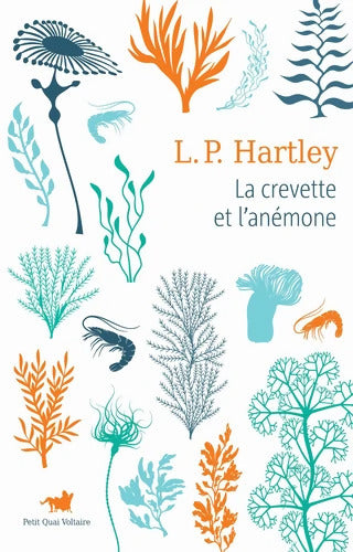 La crevette et l'anémone : LA CREVETTE ET L'ANEMONE - Leslie Poles Hartley - Livre