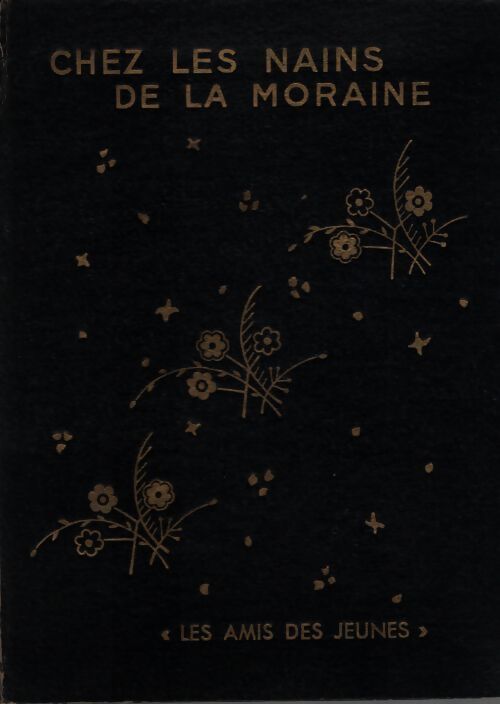 Chez les nains de la moraine - Anna Favre - Livre
