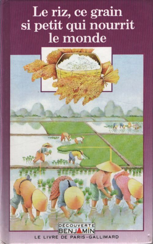 Le riz, ce grain si petit qui nourrit le monde - Raphaëlle Brice - Livre