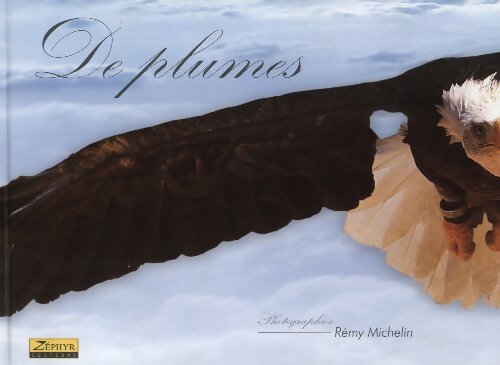 De plumes et de fer Tome II - Rémy Michelin, Michelin Rémy - Livre