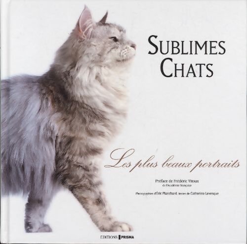 Chats - Catherine Levesque - Livre