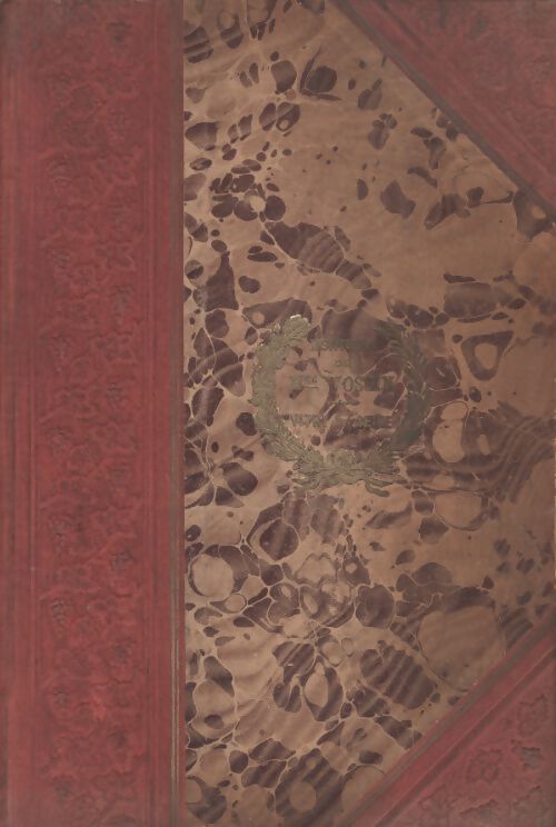 Journal de voyage d'une hirondelle - A. Dubois - Livre