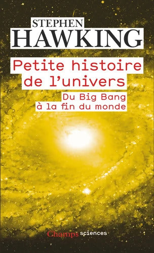 Petite histoire de l'Univers : Du Big Bang à la fin du monde - Stephen Hawking - Livre