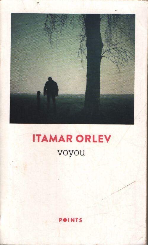 Voyou - Itamar Orlev - Livre