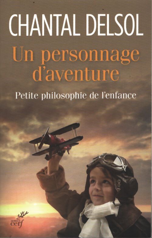 Un personnage d'aventure - Chantal Delsol - Livre