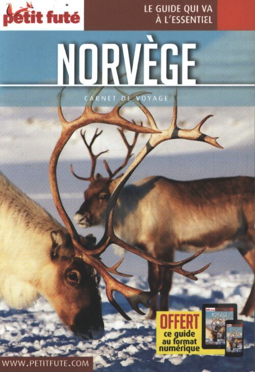 Guide norvège 2019 carnet petit futé - Labourdette J. Auzias D. - Livre