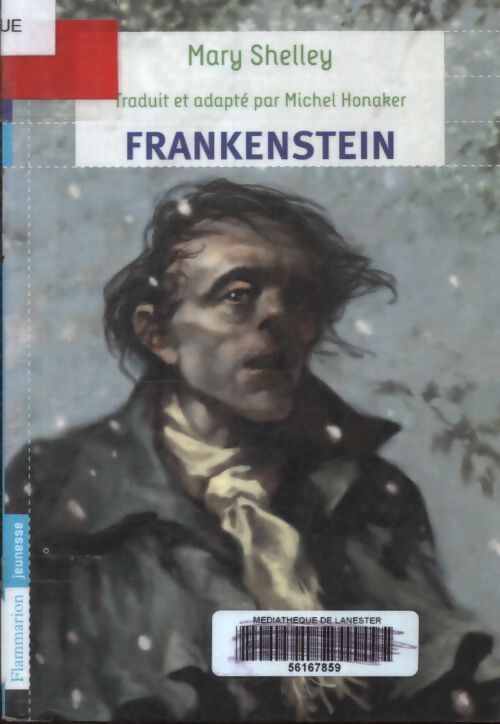 Frankenstein - Mary Shelley - Livre