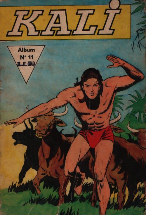 Kali - Album n°11 - Collectif - Livre