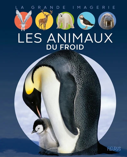 Les animaux du froid - Raphaëlle Chauvelot - Livre