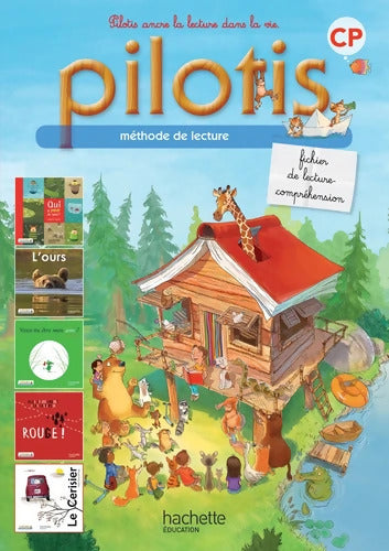 Lecture CP - Collection Pilotis - Fichier de lecture - Edition 2013 - Delphine Grasset - Livre