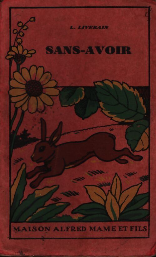 Sans-avoir - L. Liverain - Livre