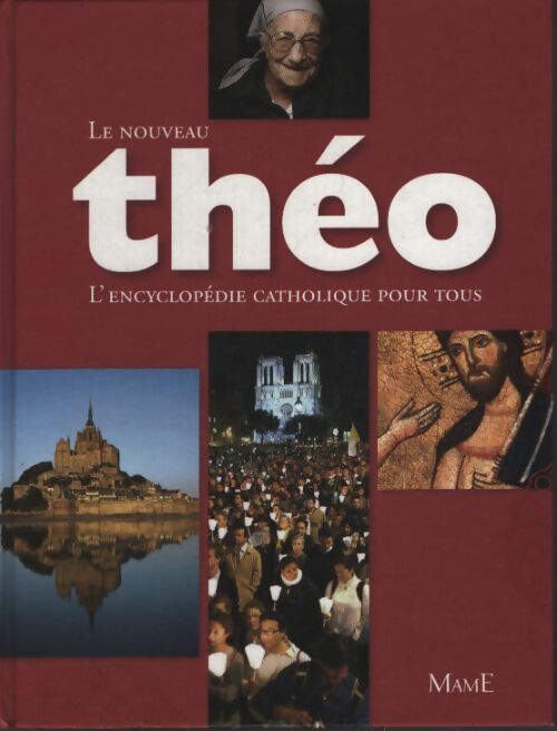 Le nouveau théo : L'encyclopédie catholique pour tous - Michel Dubost - Livre