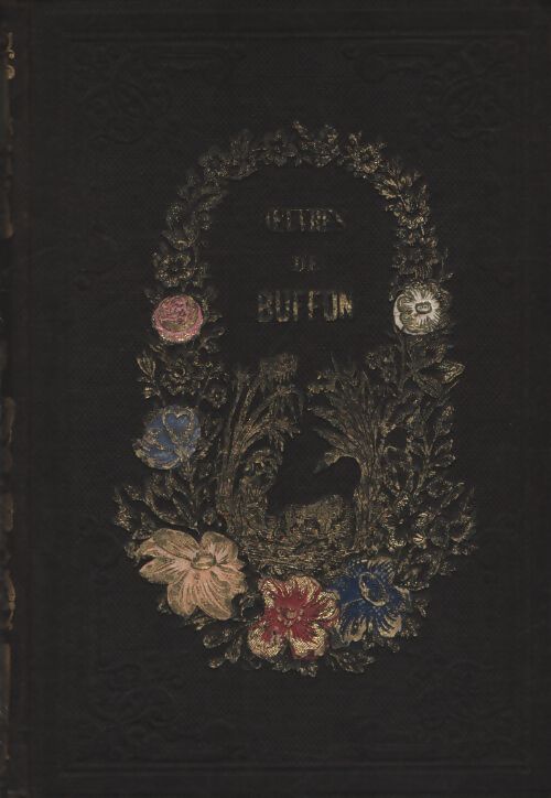Oeuvres de Buffon Tome II : Carnassiers et rongeurs - Bufon - Livre