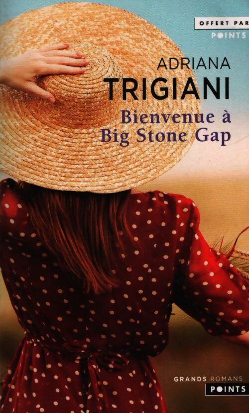 Bienvenue à Big Stone Gap - Adriana Trigiani - Livre