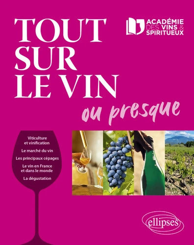 Tout sur le vin ou presque - Olivier Borneuf - Livre