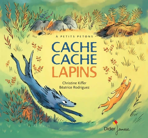 Cache Cache Lapins : Un conte japonais - Christine Kiffer - Livre