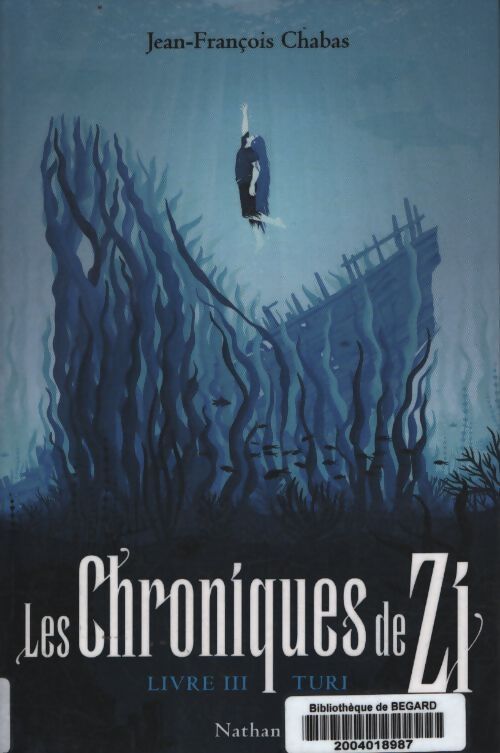 Les chroniques de zi : Turi Tome III - roman fantasy - Jean-François Chabas - Livre