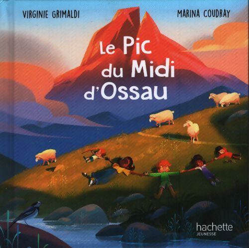 Le Pic du Midi d'Ossau - Virginie Grimaldi - Livre