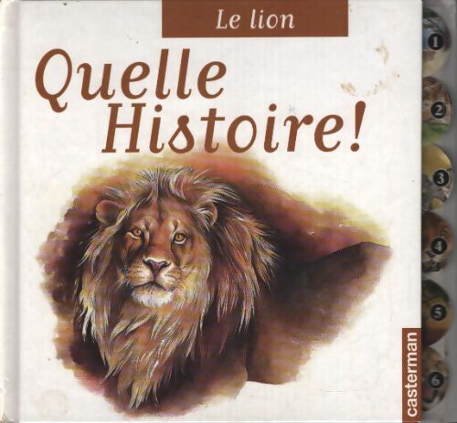 Le lion : Quelle histoire - B. Quinio A - Livre