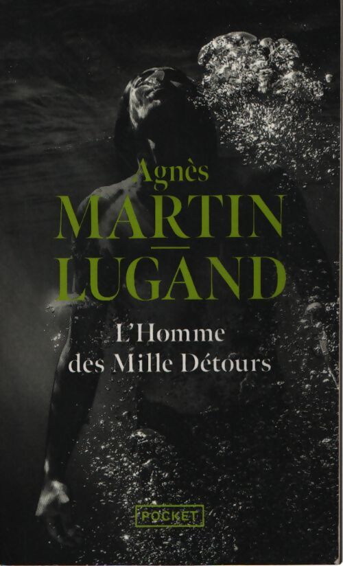 L'homme des mille détours - Agnès Martin-Lugand - Livre
