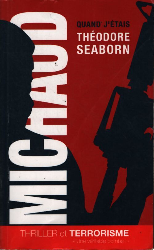 Quand j'étais théodore seaborn - Martin Michaud - Livre