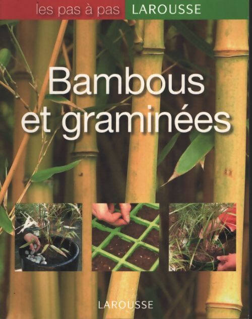 Bambous et graminées - Collectif - Livre