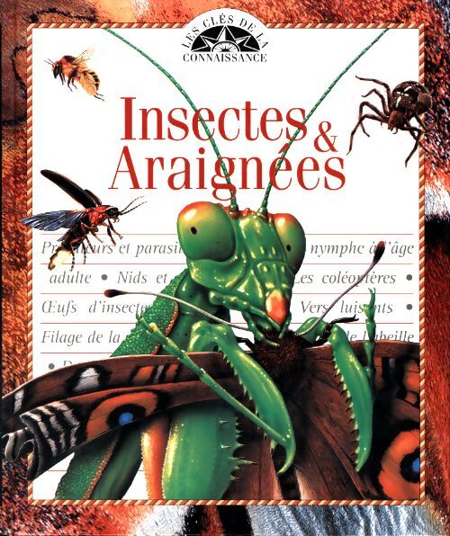 Insectes & araignées - David Burnie - Livre