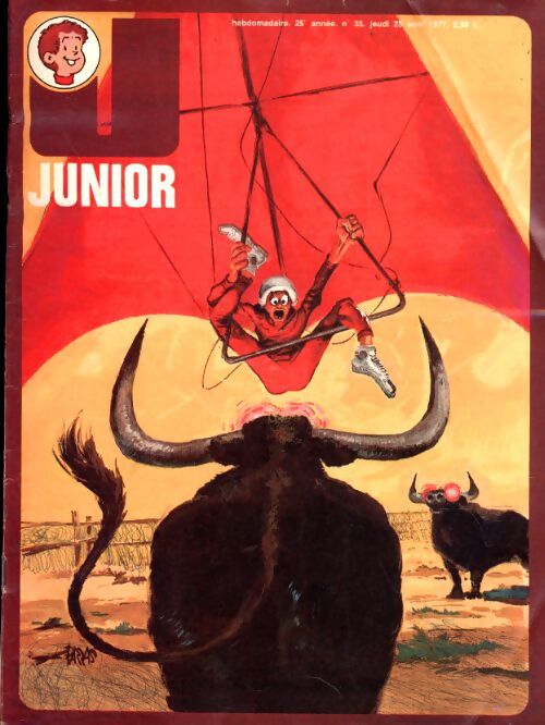 Junior 25e année n°35 - Collectif - Livre