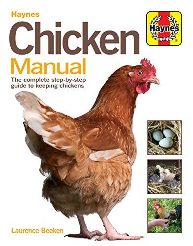 Chicken manual : The complete step-by-step guide to keeping chickens - Laurence Beeken - Livre