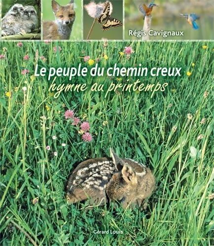 Le pays du chemin creux : Hymne au printemps - Régis Cavignaux - Livre