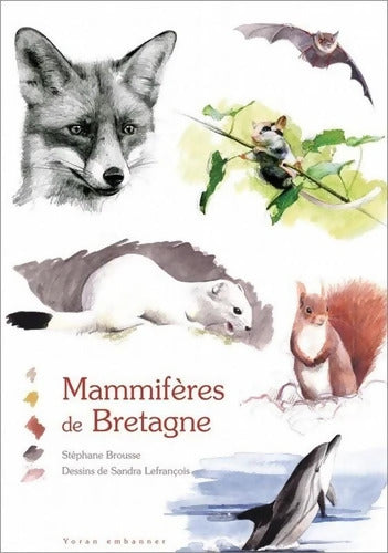Mammifères en Bretagne - Stéphane Brousse - Livre