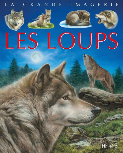 Les loups - Agnès Vandewiele - Livre