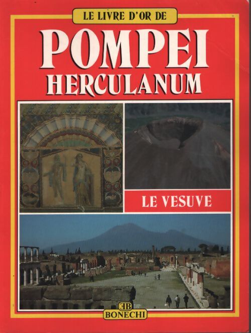 Pompei ercolano. Ediz. Francese - Stefano Giuntoli - Livre